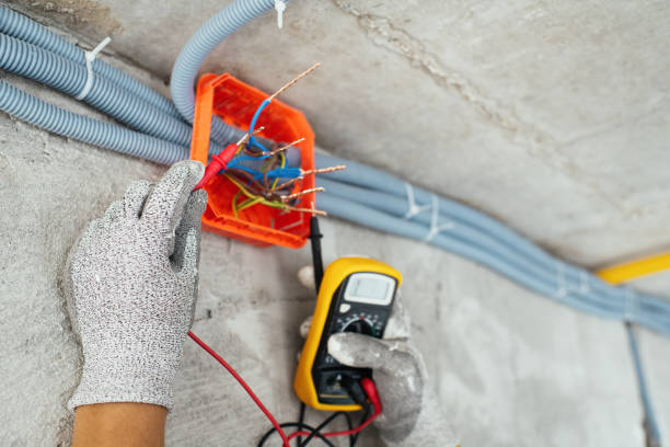 Best Electrician for Home Renovation  in Raymond, WI